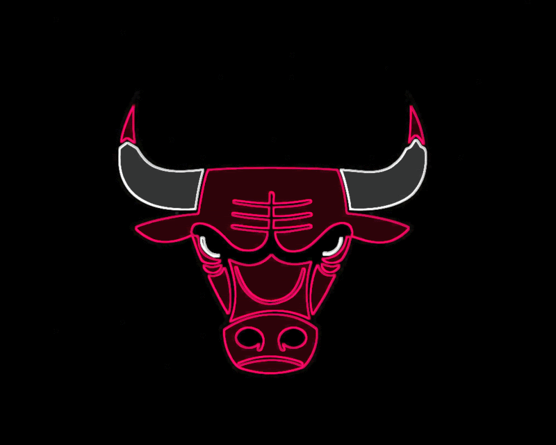 Madonna Chicago Bulls